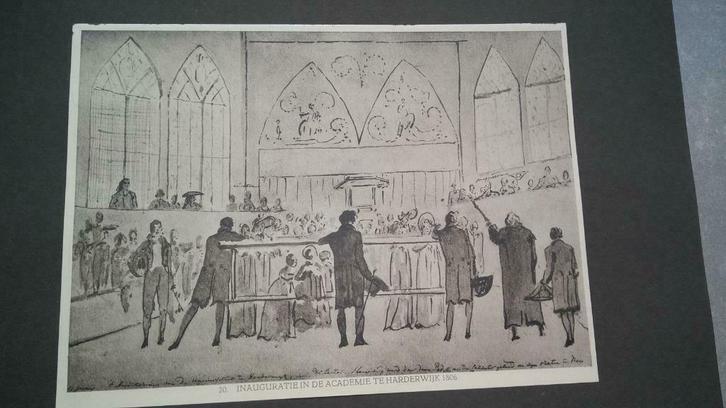 20/ Harderwijk Inaugureele rede C.J. van Baar lichtdruk 1922, Antiek en Kunst, Kunst | Litho's en Zeefdrukken, Ophalen of Verzenden