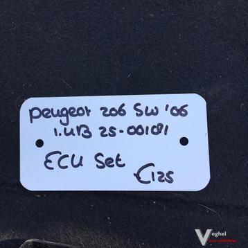 Peugeot 206 SW 1.4 Benzine 2006 2500181   ECU Set beschikbaar voor biedingen
