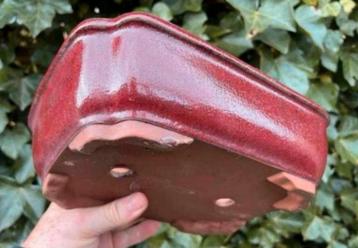 Bonsai schaal Ossenbloed rood geglazuurd 27,6x21,5x7,8 beschikbaar voor biedingen