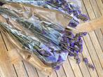droogbloemen, Huis en Inrichting, Ophalen, Nieuw