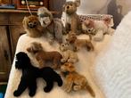 9 steiff honden, Ophalen of Verzenden