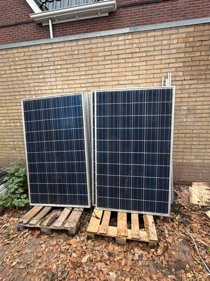 24 sharp zonnepanelen, Doe-het-zelf en Verbouw, Zonnepanelen en Toebehoren, Gebruikt, Paneel, Ophalen