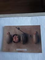 Acorn  Babies  /ANNE GEDDES  1999, Verzamelen, Ansichtkaarten | Themakaarten, Ophalen of Verzenden