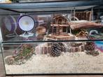 Hamsterhok glas  met schuifruitjes, Dieren en Toebehoren, Ophalen of Verzenden, Zo goed als nieuw, Hok, Minder dan 60 cm