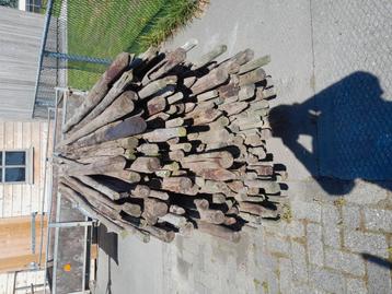 gebruikte boompalen  beschikbaar voor biedingen