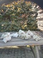 7 rots blokken voor aquarium, Hobby en Vrije tijd, Ophalen of Verzenden