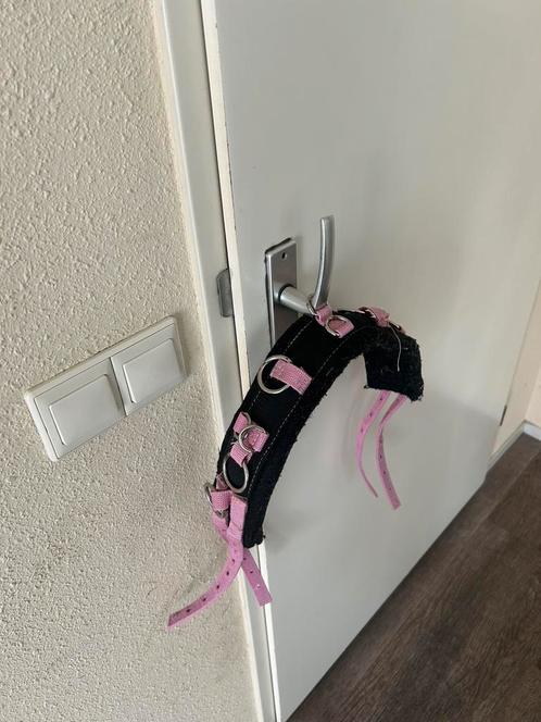 longeersingel maat mini/shetlander, Dieren en Toebehoren, Paarden en Pony's | Hoofdstellen en Tuigage, Zo goed als nieuw, Overige soorten