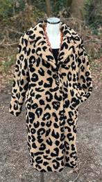 Nieuwe Teddy jassen met trendy Luipaardprint, Beige, Nieuw, Ophalen of Verzenden, Onbekend