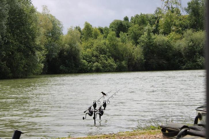 Trakker Defy Werphengel 12ft 3.5lb, Watersport en Boten, Hengelsport | Karpervissen, Gebruikt, Werphengel, Ophalen