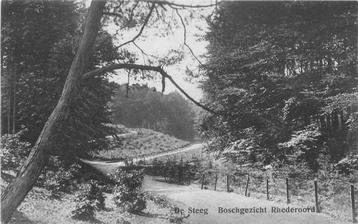 (377-411-007) De Steeg Boschgezicht Rhederoord beschikbaar voor biedingen