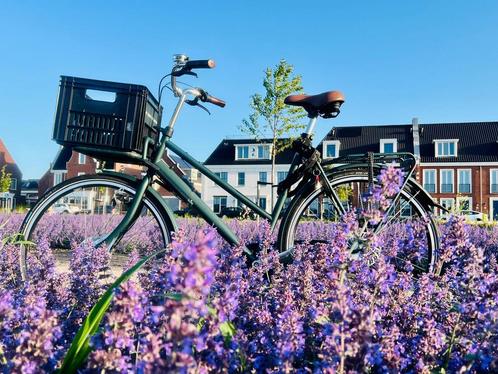 Stijlvolle Azor fiets – Groen met bruine details! 16m oud., Fietsen en Brommers, Fietsen | Heren | Herenfietsen, Zo goed als nieuw