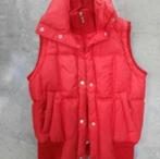Bodywarmer maat 38, Ophalen of Verzenden, Gedragen, Maat 38/40 (M), Rood