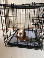 Bench voor kleine honden, Dieren en Toebehoren, Hondenhokken, Ophalen, Gebruikt, Minder dan 65 cm, Minder dan 75 cm