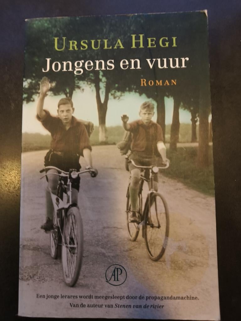 Jongens en Vuur - Ursula Hegi, Ophalen of Verzenden, Gelezen, Ursula Hegi, Nederland