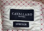 Cavallaro Napoli blouse rood/wit maat 40, Kleding | Dames, Ophalen of Verzenden, Zo goed als nieuw, Maat 38/40 (M), Rood