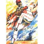 10 lithos " Honkbal  " van Angelique vd Born , samen € 90, Sport en Fitness, Nieuw, Ophalen of Verzenden