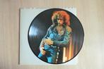 Picture Disc van Neil Diamond, Ophalen of Verzenden, 1960 tot 1980, Gebruikt, 12 inch