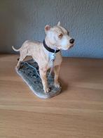 Mooi nieuw beeld van de pitbul, Ophalen of Verzenden, Nieuw, Dier