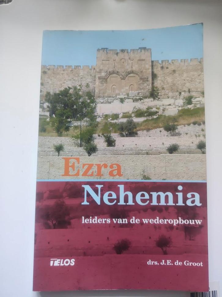 Ezra Nehemia - Leiders van de wederopbouw, Boeken, Godsdienst en Theologie, Gelezen, Christendom | Protestants, Ophalen of Verzenden