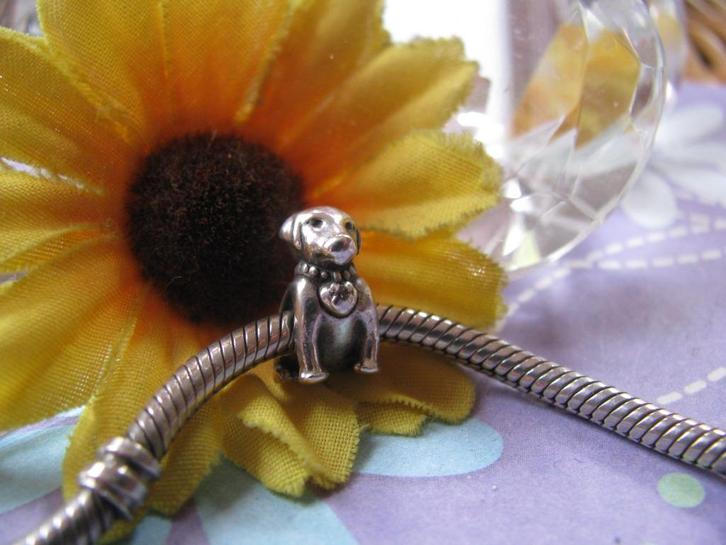 Pandora bedel 793179CZ = labrador + ZIRKONIA in de halsband, Sieraden, Tassen en Uiterlijk, Bedels, Zo goed als nieuw, Pandora
