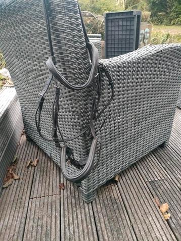 zwart leren pony-hoofdstel met frontriem beschikbaar voor biedingen