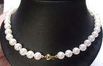 Echt parelcollier- 29,20 gr- 14 karaat goud- 45,5 cm- nieuw, Verzenden, Wit, Nieuw, Met edelsteen