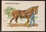 dl 1960 huisdier paard Noriker trekpaard Pinzgauer koudbloed, Verzamelen, Ansichtkaarten | Themakaarten, 1940 tot 1960, Overige thema's