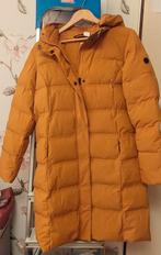 Human Nature lange damesjas, Kleding | Dames, Jassen | Winter, Ophalen of Verzenden, Zo goed als nieuw, Maat 38/40 (M), Blauw