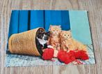 Drie kittens in een mandje wol, Verzenden, 1960 tot 1980, Gelopen, Hond of Kat
