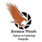 Hobby stop: camera's en lenzen en toebehoren ter overname, Ophalen of Verzenden, Gebruikt