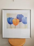 Tulpen van Britta Hans en gesigneerd 50 x 50 cm, Antiek en Kunst, Ophalen