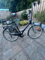 Batavus Tricolore 28inch damesfiets, Fietsen en Brommers, Fietsen | Dames | Damesfietsen, Ophalen, Versnellingen, Batavus, 56 cm of meer