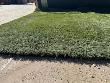 Kunstgras gebuikt beschikbaar voor biedingen