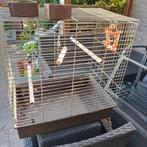 Ruime vogelkooi, Dieren en Toebehoren, Ophalen, Metaal, Vogelkooi
