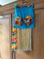 Carnaval hawai outfit, Ophalen of Verzenden, Gedragen, Carnaval