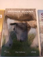 Gezonde Schapen - Alles over voorkomen, herkennen en genezen, Ophalen of Verzenden, Zo goed als nieuw, Vee, Piet Vellema