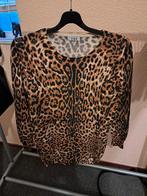 NIEUWE DAMES TRUI MAAT 46, Bruin, Maat 46/48 (XL) of groter, Nieuw, Ophalen of Verzenden