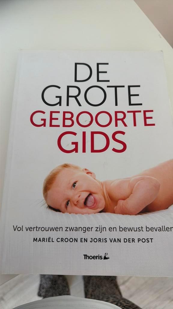 Joris van der Post - De grote geboorte gids, Boeken, Kinderboeken | Baby's en Peuters, Zo goed als nieuw, 3 tot 4 jaar, Ophalen of Verzenden