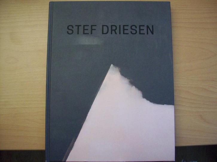 Stef Driesen (schilderijen, met essay van Wouter Davidts), Boeken, Kunst en Cultuur | Beeldend, Zo goed als nieuw, Schilder- en Tekenkunst