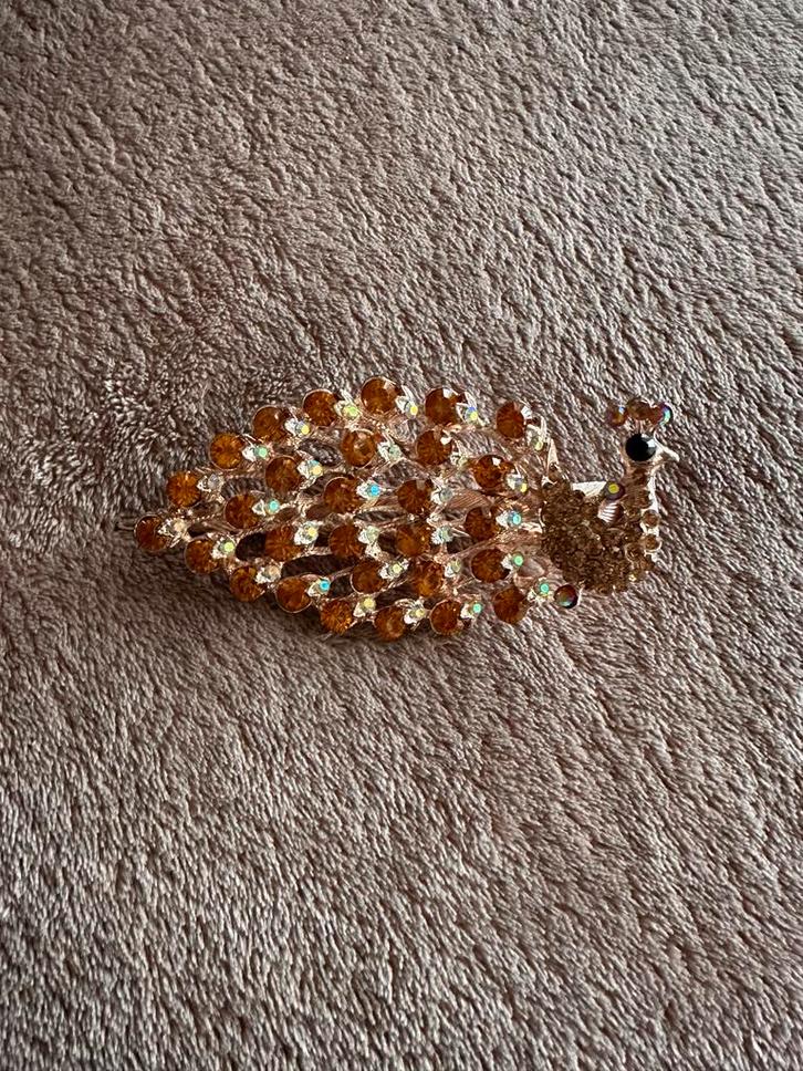 Pauw Haarklem, Sieraden, Tassen en Uiterlijk, Broches, Nieuw, Overige materialen, Goud, 4 tot 7 cm, Met strass, Ophalen of Verzenden