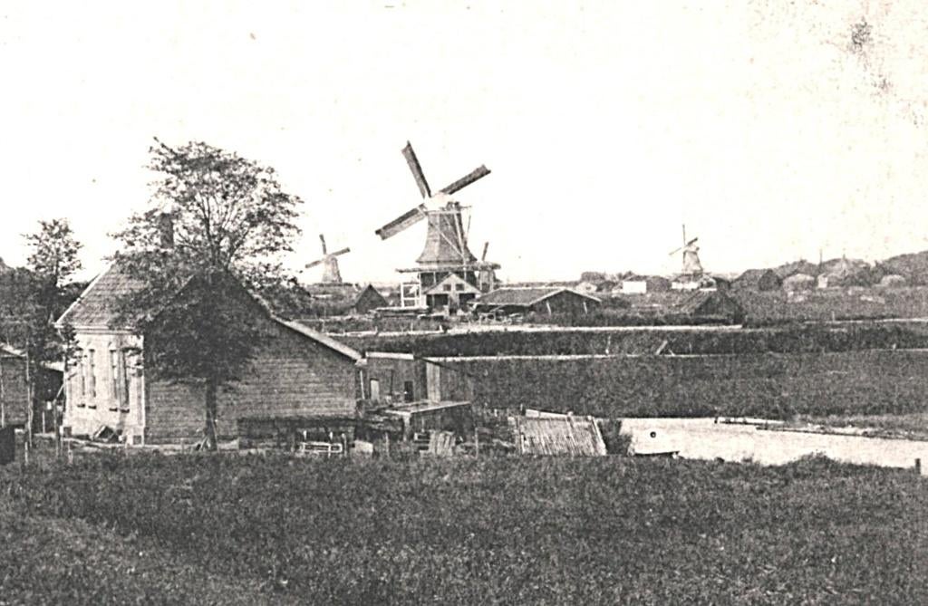 992041 Zaanstreek Schalekamp Buiksloot Nette oude kaart onbe, Ophalen of Verzenden, Voor 1920, Ongelopen, Noord-Holland