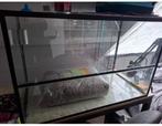 Terrarium/gerbil verblijf, Dieren en Toebehoren, Knaagdieren en Konijnen | Hokken en Kooien, Zo goed als nieuw, Ophalen, Minder dan 60 cm
