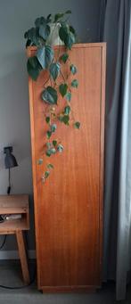 Houten antieke vintage kast, Ophalen