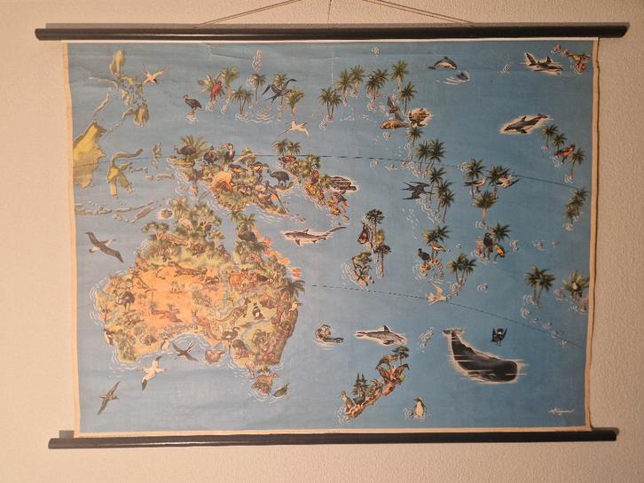 Vintage Schoolkaart Australië, Georg Westermann jaren 1950, Antiek en Kunst, Antiek | Schoolplaten, Aardrijkskunde, Ophalen of Verzenden