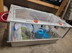 Grote kooi goudhamster met heel veel extra, Kooi, Gebruikt, 75 tot 110 cm, Ophalen