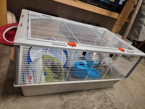 Grote kooi goudhamster met heel veel extra, Dieren en Toebehoren, Knaagdieren en Konijnen | Hokken en Kooien, Gebruikt, Kooi, Minder dan 60 cm