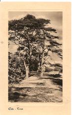 Ede, Traa, Verzenden, 1940 tot 1960, Gelopen, Gelderland