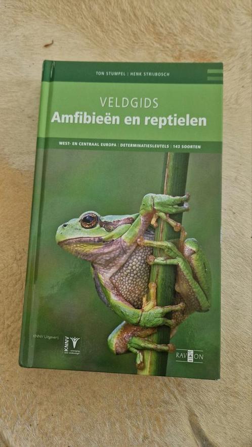 Henk Strijbosch - Veldgids amfibieën en reptielen, Boeken, Dieren en Huisdieren, Nieuw, Reptielen of Amfibieën, Ophalen of Verzenden