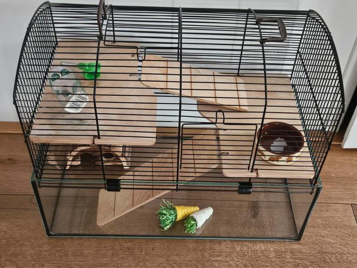 Knaagdierkooi, Dieren en Toebehoren, Knaagdieren en Konijnen | Hokken en Kooien, Gebruikt, Kooi, Minder dan 60 cm, Minder dan 75 cm