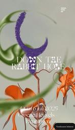 Down The Rabbit Hole festival, Tickets en Kaartjes, Evenementen en Festivals, Eén persoon